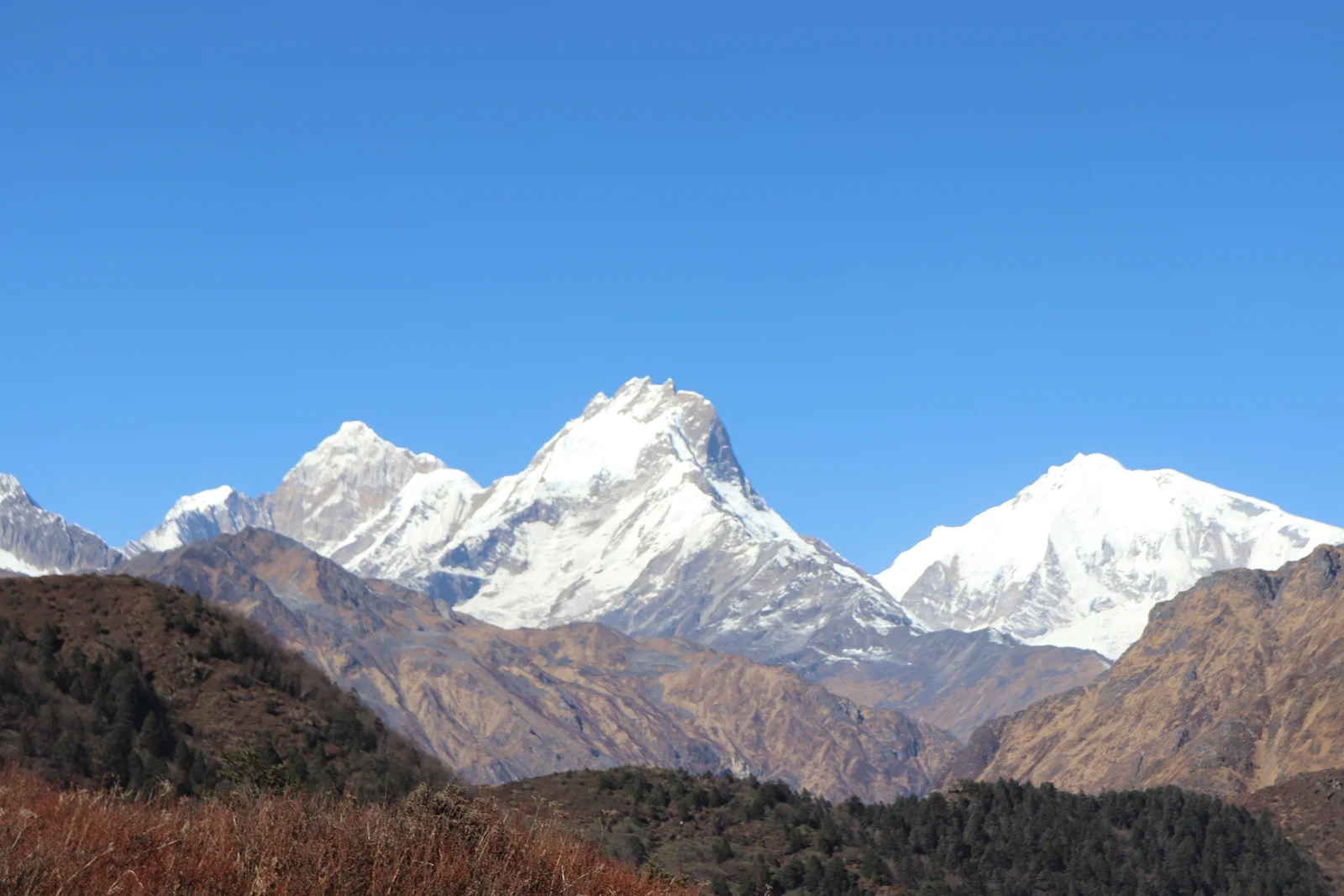 Enthralling Trip Around Langtang Region